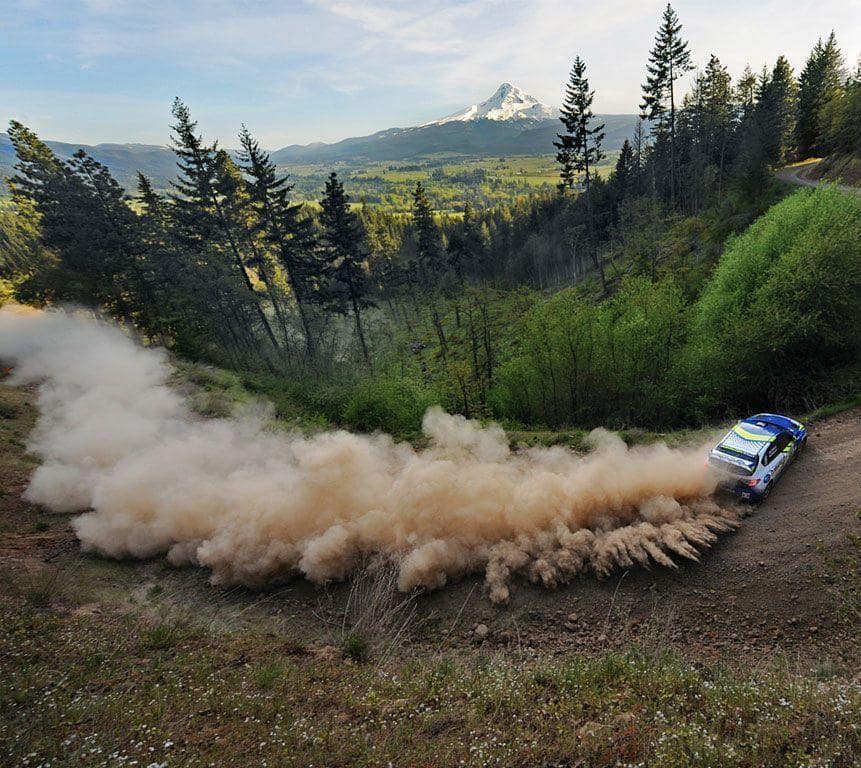 ставки на ралли